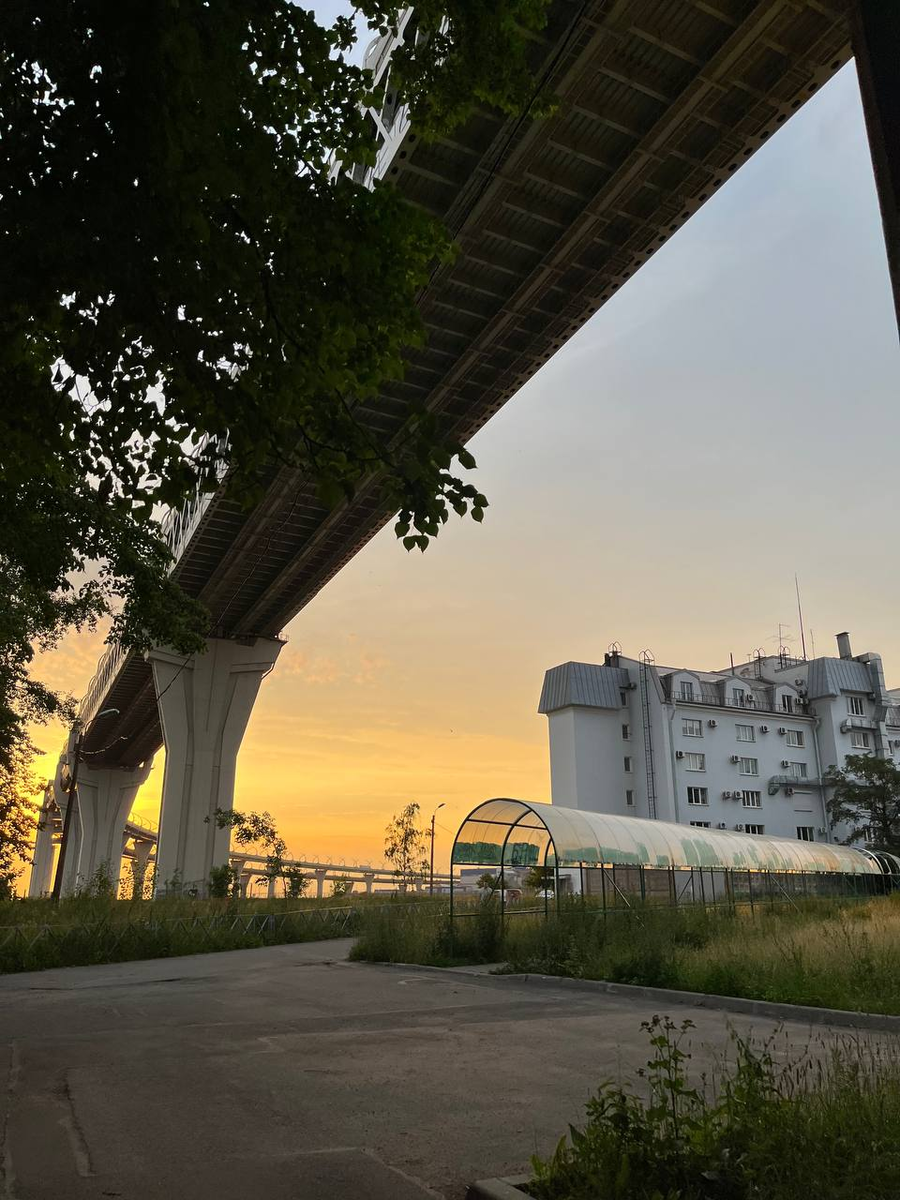 Вид на ЗСД с Канонерского острова