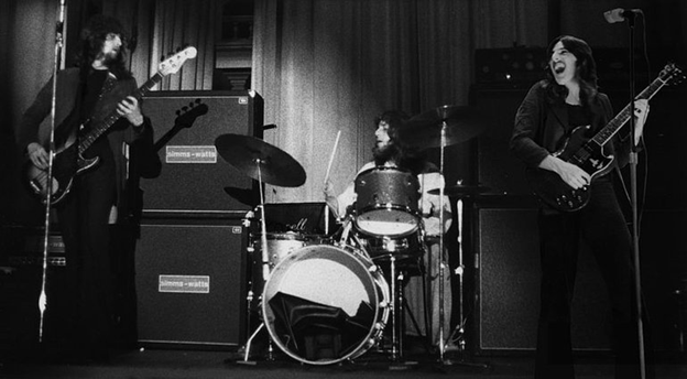 группа  Incredible Hog