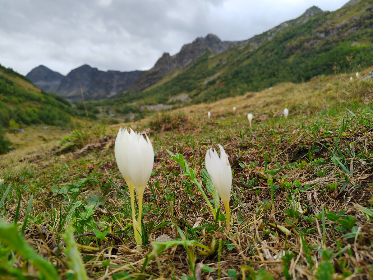 Озеро лунное архыз