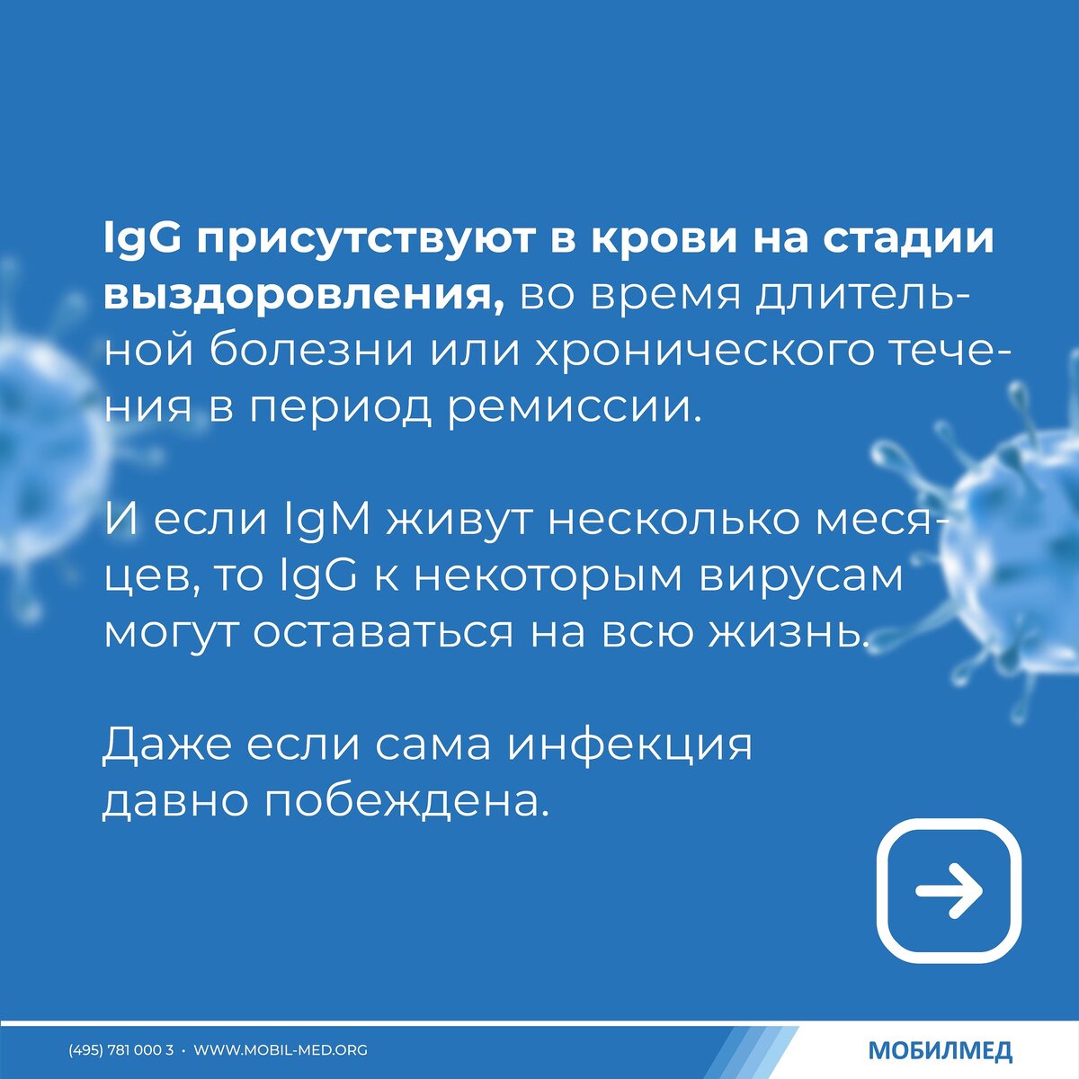 Что такое IgM и IgG и чем они отличаются? | МобилМед - твоя лабораторная  станция! | Дзен