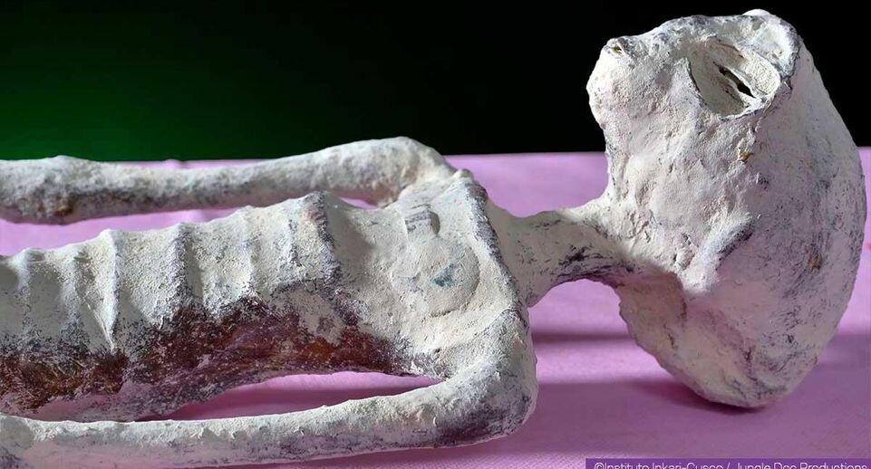     Мумия Жозефина