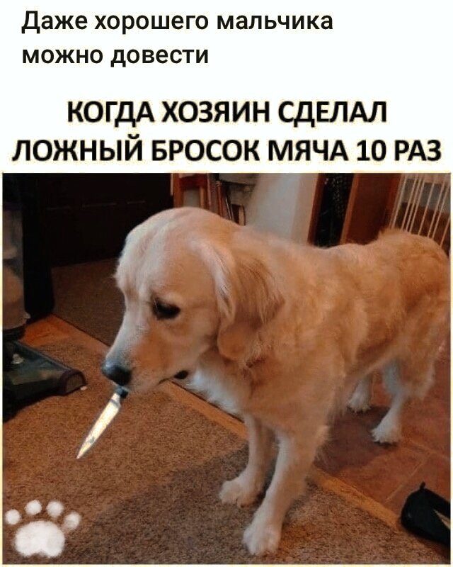 Фото из интернета в обработке автора