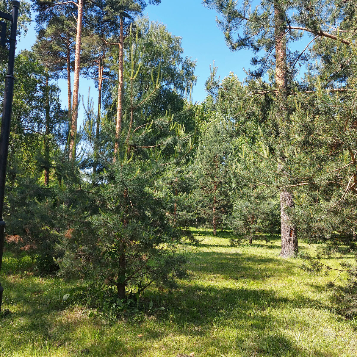 Зоогостицу я не фотографировала, а вот Джамгаровский пруд и парк при нем - да