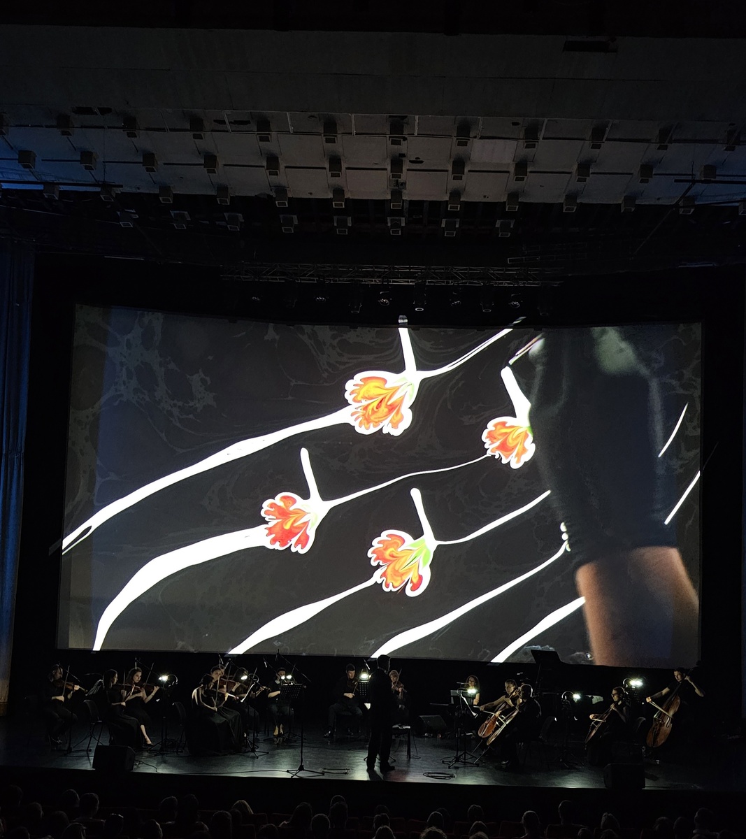 Художник рисовал на воде картины, соответствующие характеру музыки, прямо во время концерта.