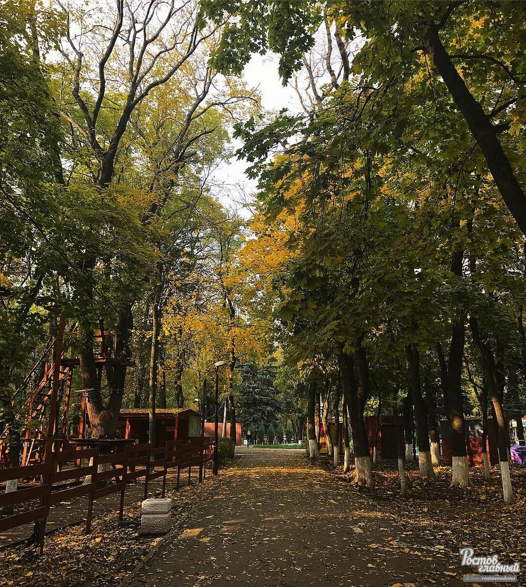 парк осенний на киргизской ростов на дону