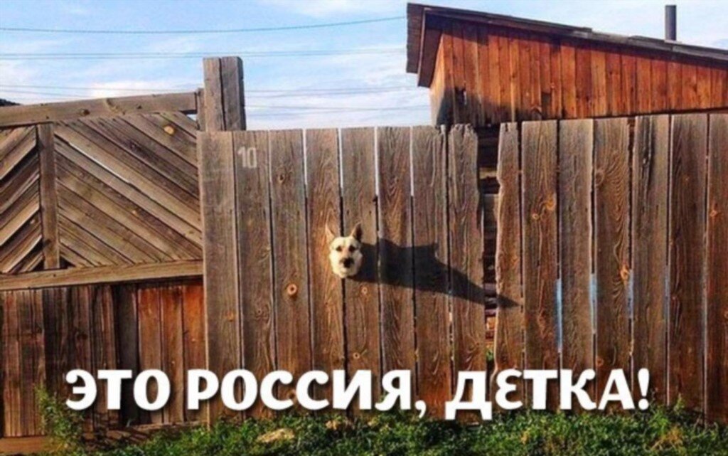 Это россия детка картинка