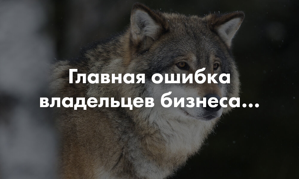 Главная ошибка предпринимателей