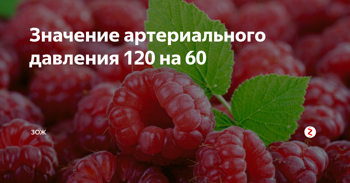 Давление 120 на 120 что это. Давление 120 на 60. давление 120 на 80. давление 120 на 60 спроси врача. ад 120/60 это нормально или нет.