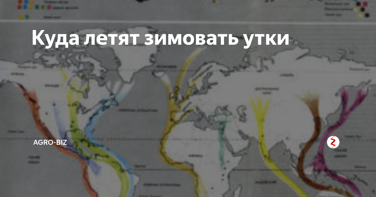 Солдаты 9 сезон: дата выхода серий, рейтинг, отзывы на сериал и список всех серий