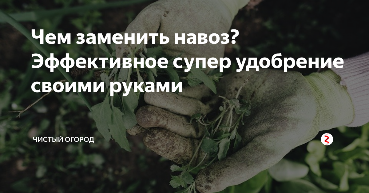 Чем заменить навоз, компост, минеральные удобрения: Приготовление настоя без неп