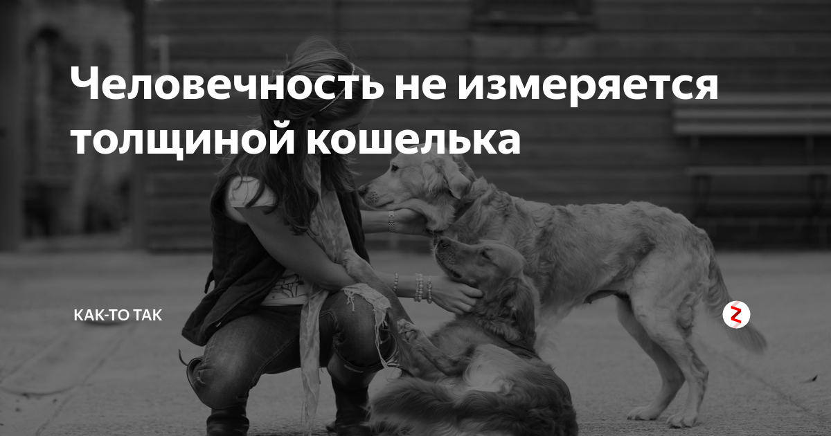 Теряет человечность. Человечность это. Статусы про человечность со смыслом. Человечность картинки. Люди потеряли человечность.