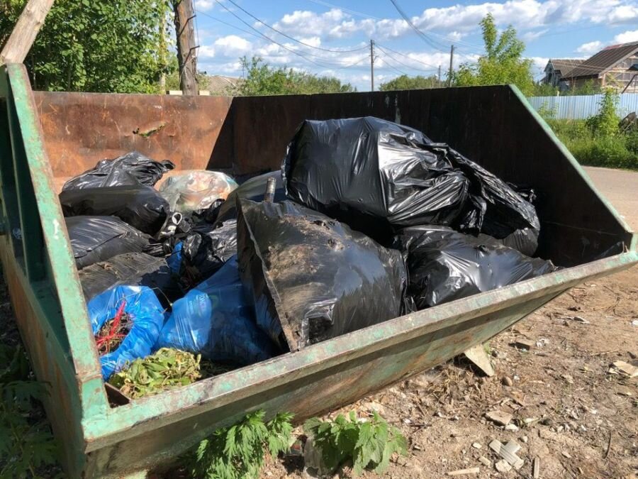  Чтобы очистить парк полностью, нужны грузовики. Фото: соцсети.