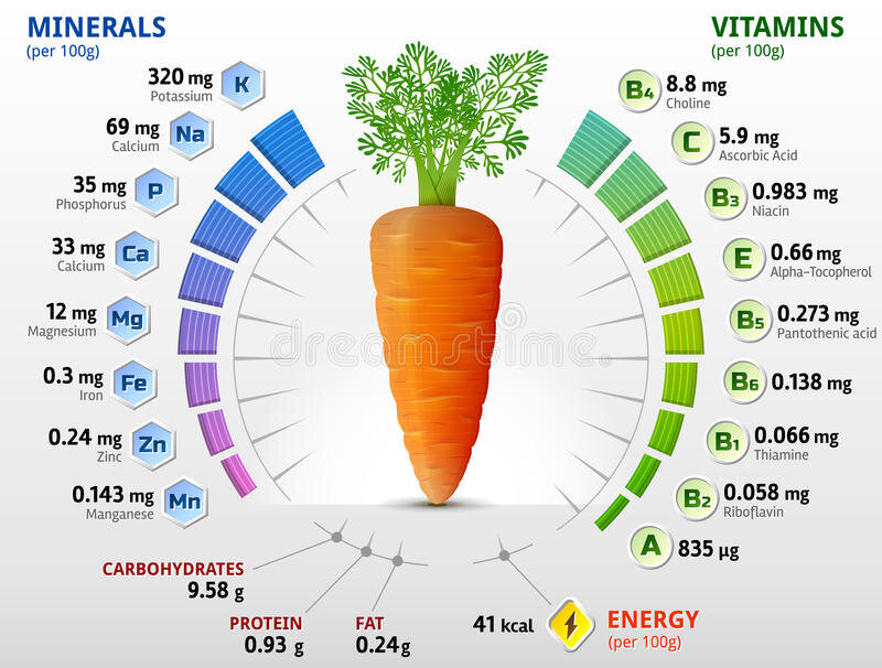Как выбрать и хранить морковь