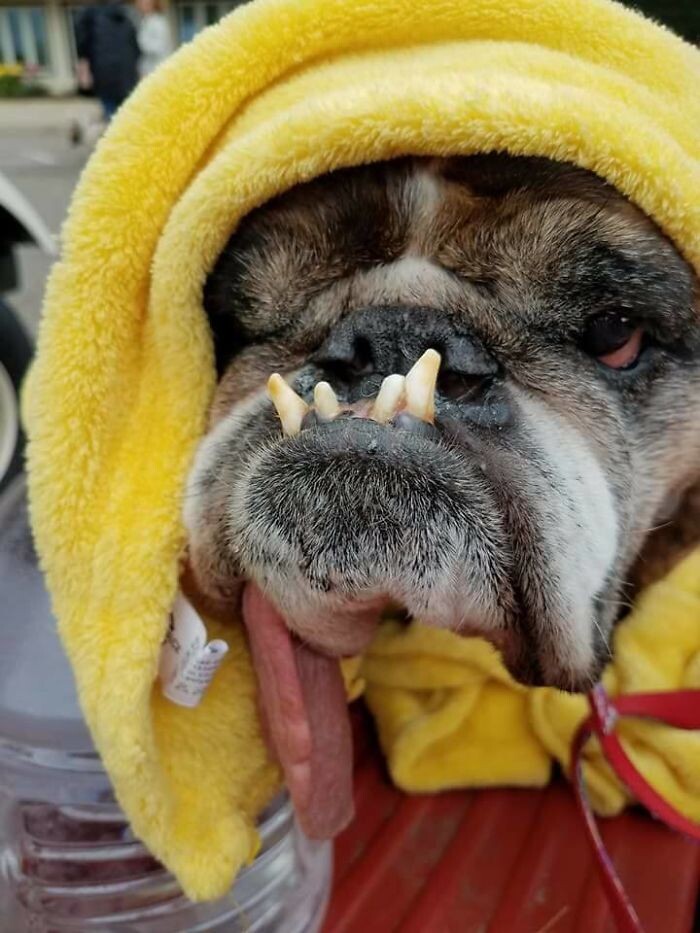 фото: boredpanda.com