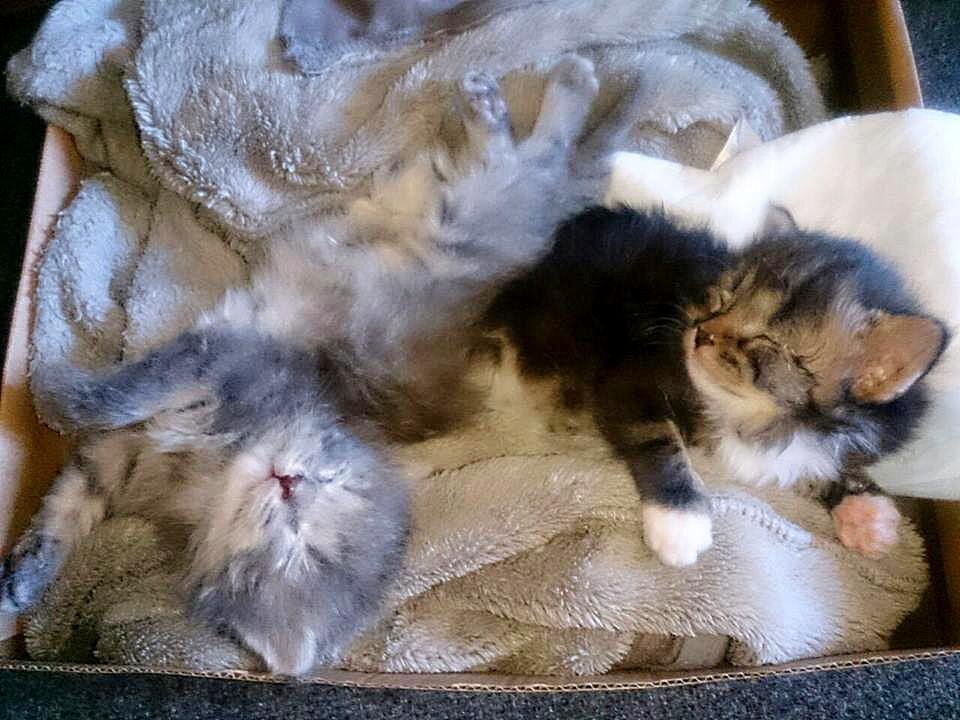 После молока хорошо поспать.