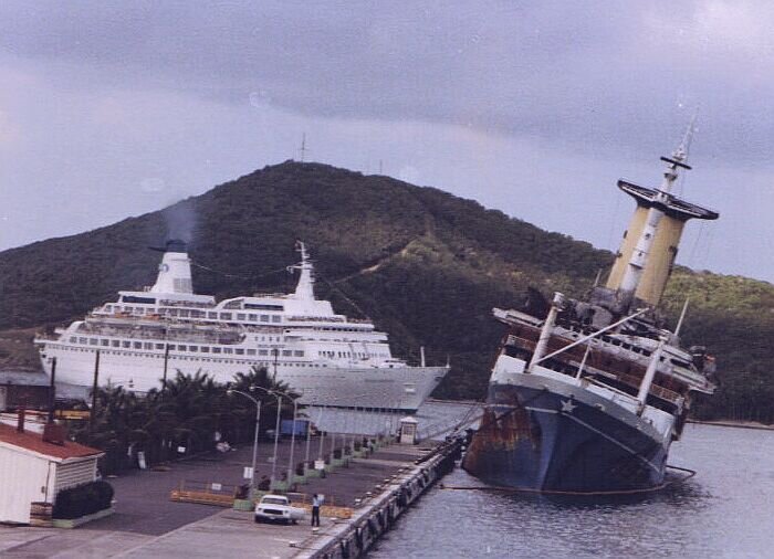 Анжелина Лауро после пожара