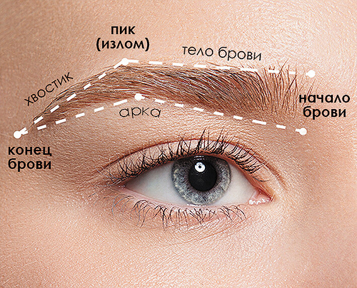 фото med-look.ru