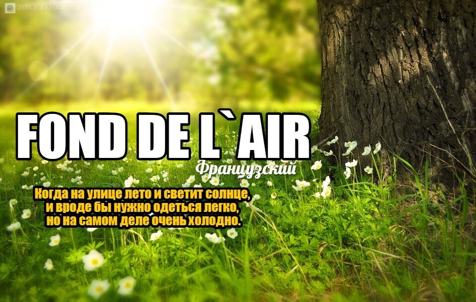 13 17 словами. 13 17 словами. 13 17 словами. пятнадцать как правильно писать.