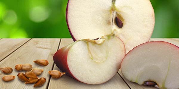 Яблоки: 10 опасных побочных эффектов