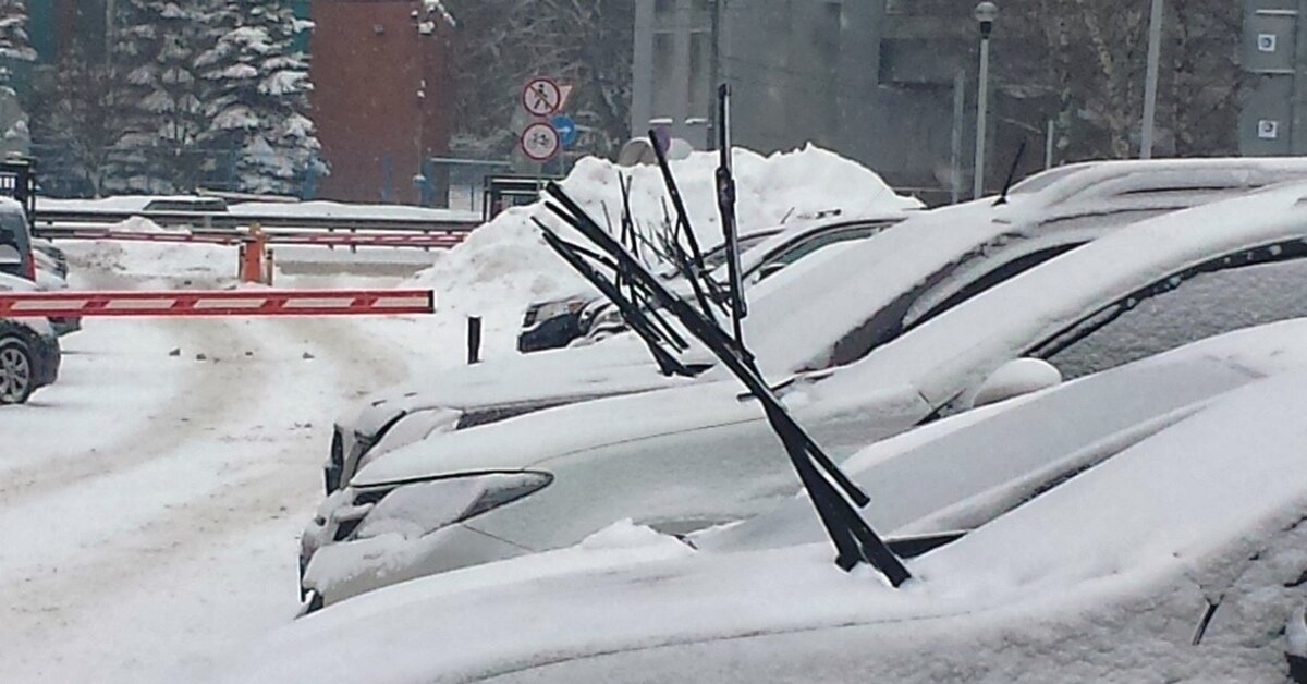 Многие не просто так поднимают дворники, так вода лучше стекает и не надо их отдирать от стекла, но есть мнение, что такой подход растягивает прижимную пружину и она в дальнейшем хуже прижимает щетку к стеклу.