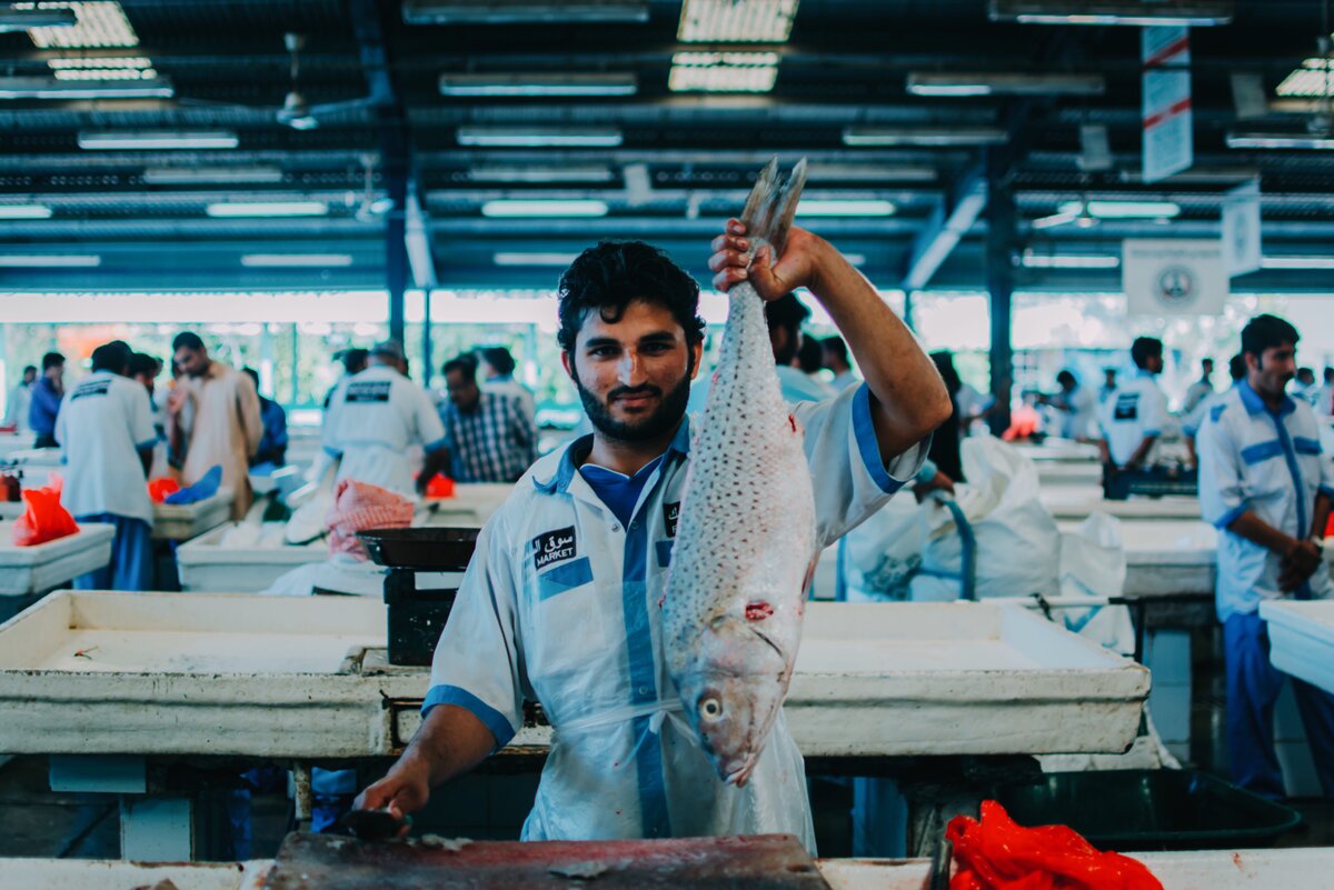 (фото с freestockimages.ru)