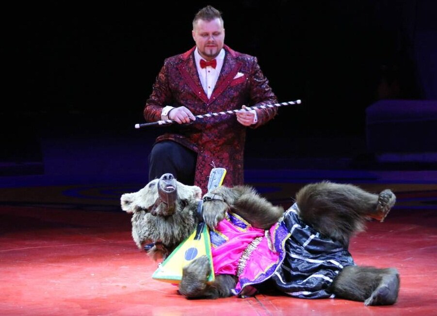 фото www.circus-sochi.ru