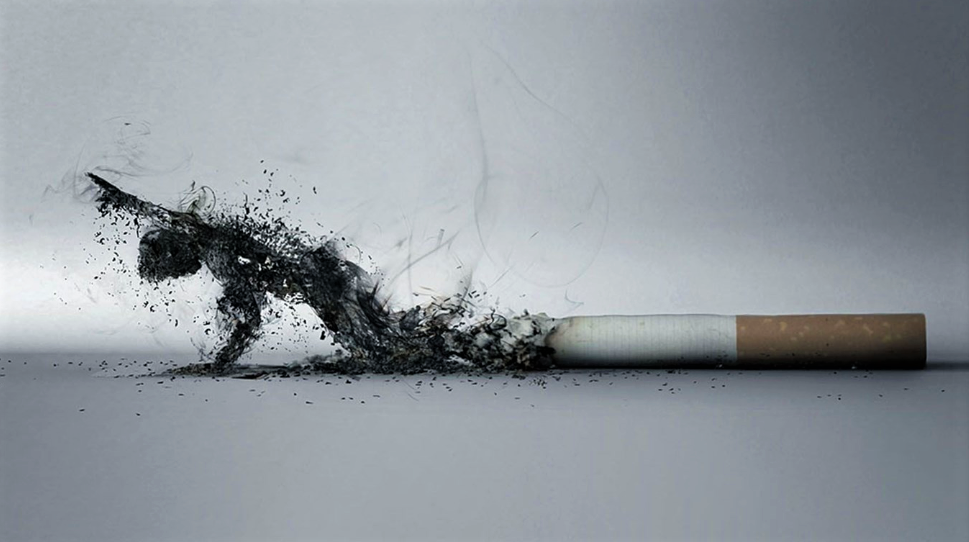 Смотри ниже👇 к чему приводит употребление табака. И это только малая часть!