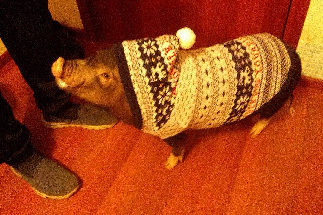 Фото: архив «КП»