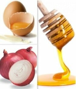 все фото взяты из открытых источников