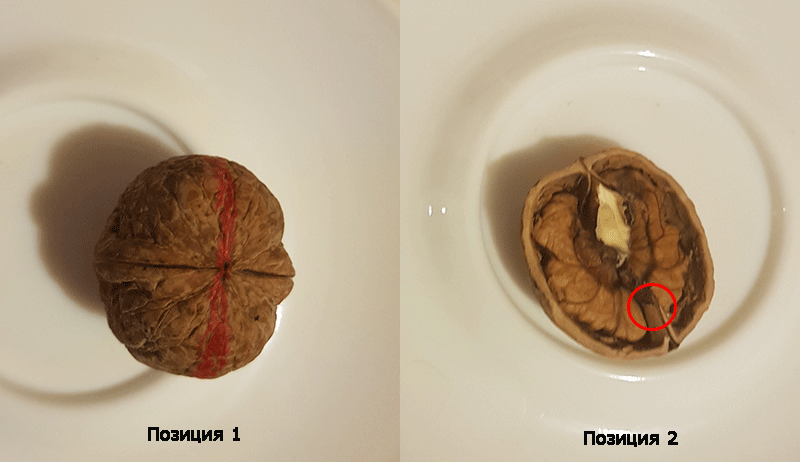 Позиция 1 - красная метка для раскола. Позиция 2 - убрать перегородку, для легкого извлечения ядра