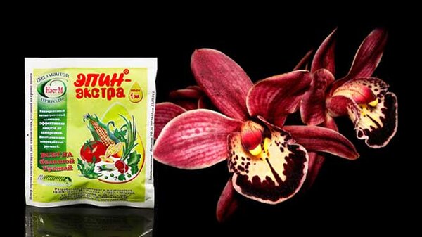 Рекомендации по применению Эпина для орхидей: все нюансы работы со средством