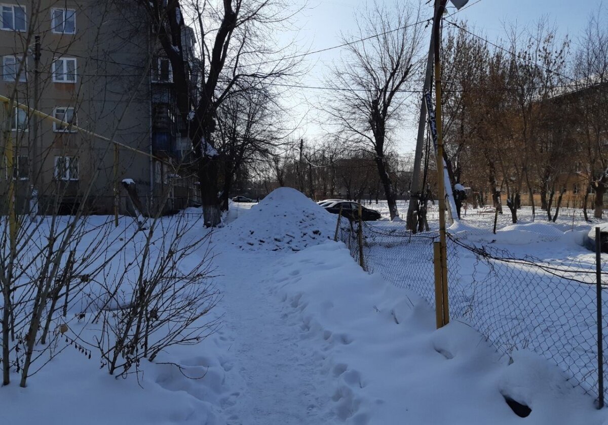 Фото: 74.ru