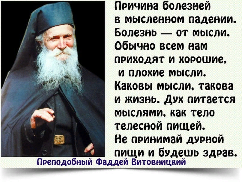 человек и природа. философия глупости. грязные и скверные мысли. грязные и скверные мысли. внешность бывает обманчива.