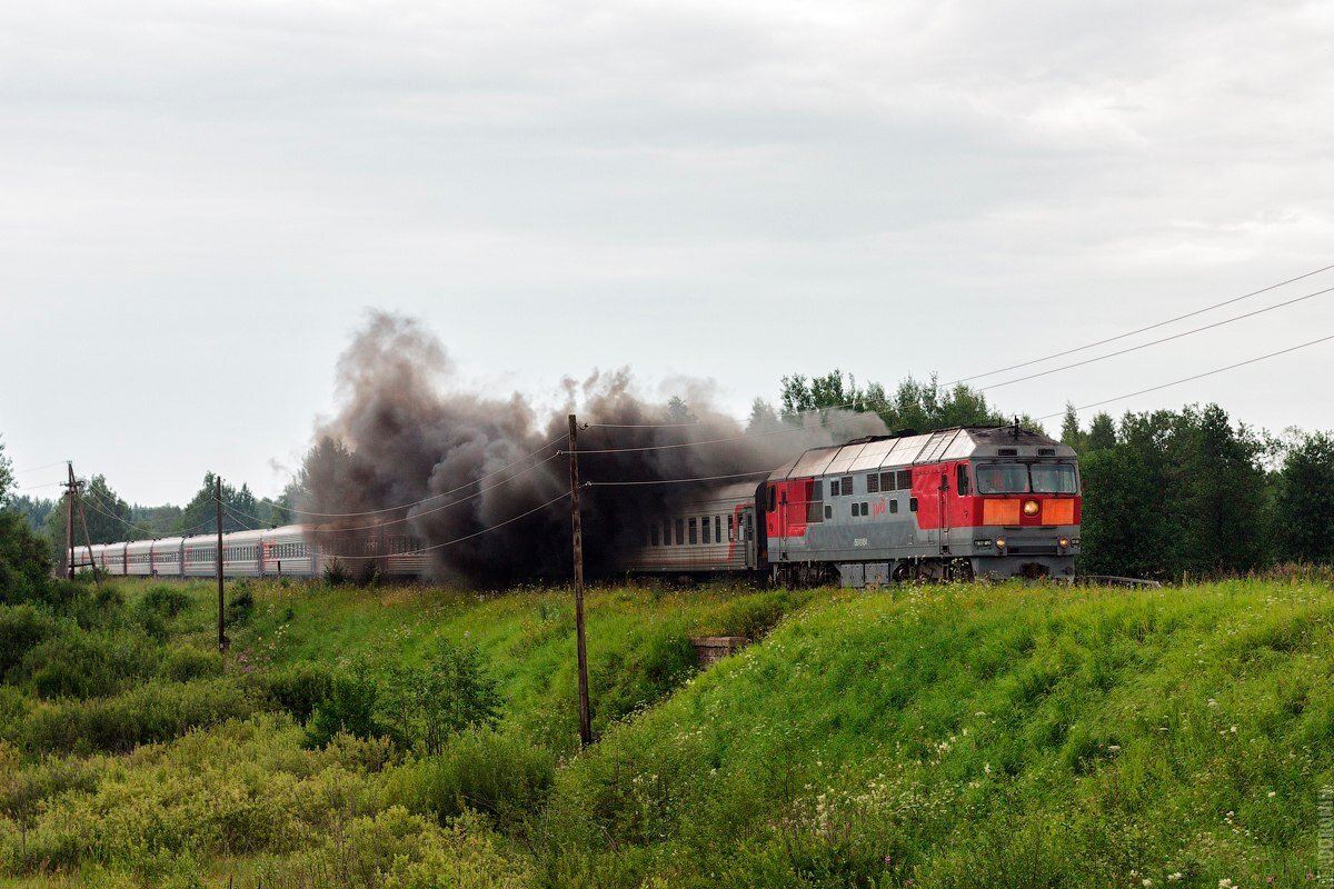 "Медведь!" Поезд №189 сообщением С.Петербург-Осташков с тепловозом ТЭП70 следует на 104 км дистанции Бологое-Полоцкой линии, перегон Фирово-Осташков. Фото: Денис Доронин 
