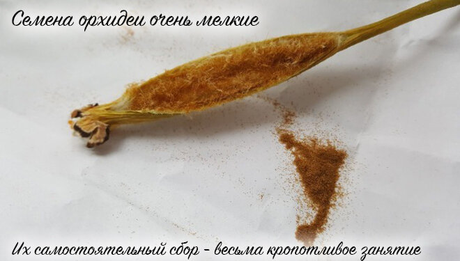 фото из сети