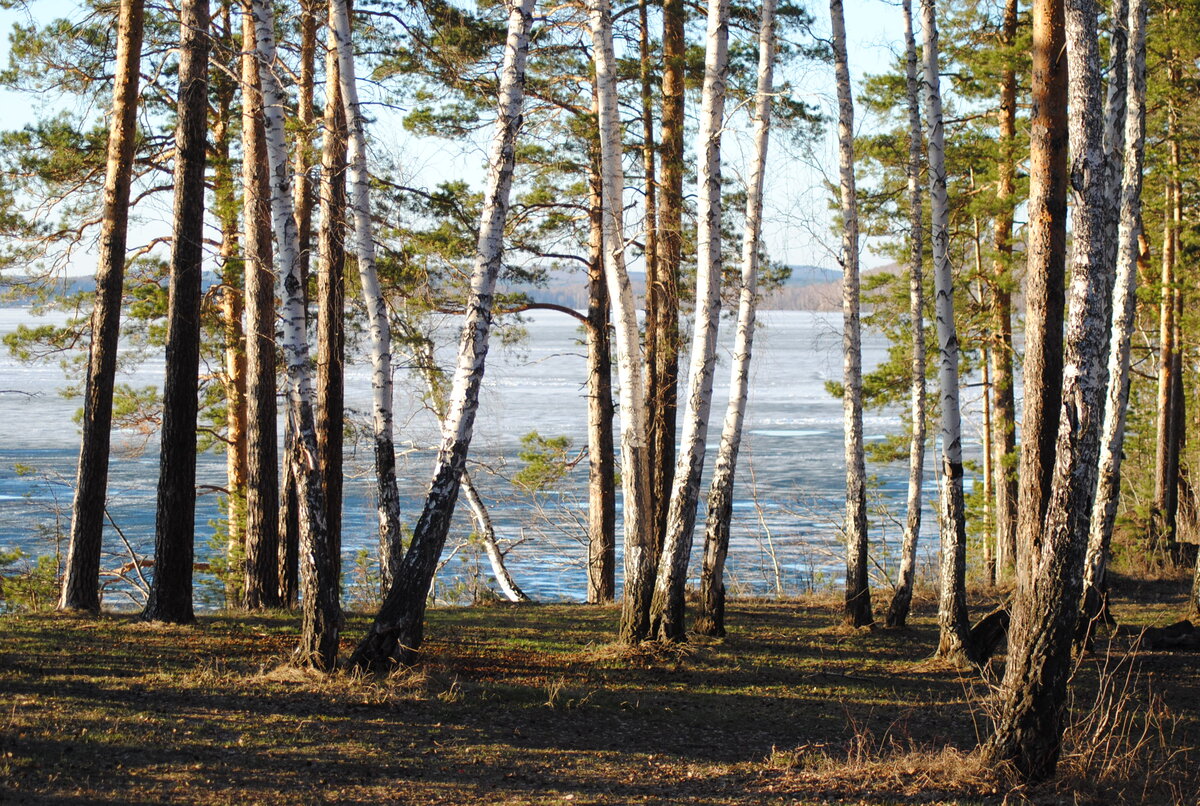 Озеро иткуль челябинская область фото