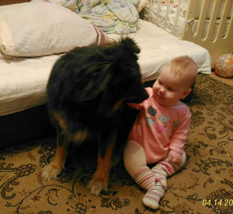 Шелли и её маленький хозяин