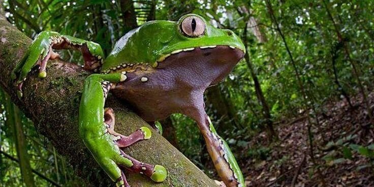 фото pinterest.ru