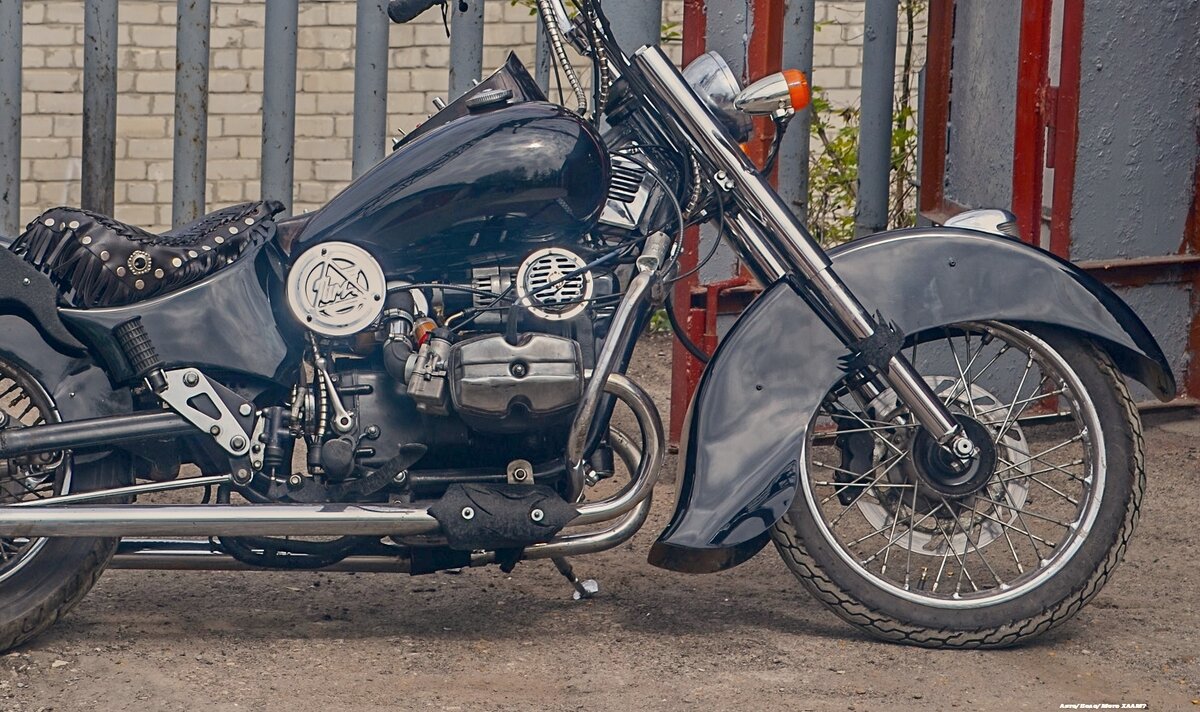 Мой красавец! Привезенный в Симбирск Урал Вояж)