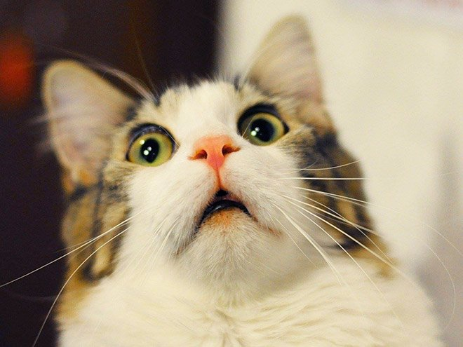 Это я удивляюсь, чего только не придумают