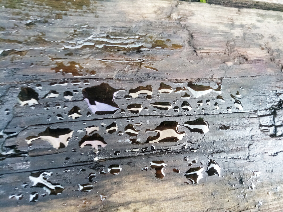 Вода не впитывается. Разноцветная поверхность лужиц - та самая масляная пленка