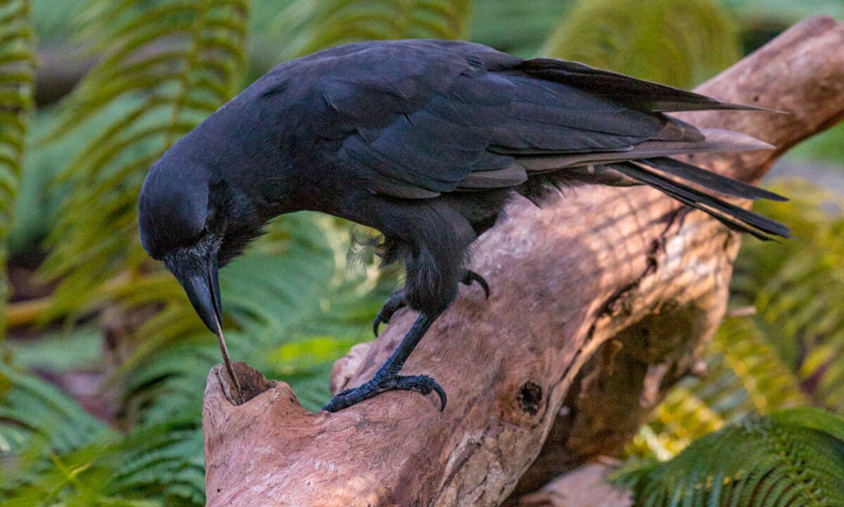 Источник фото: dailymail.co.uk