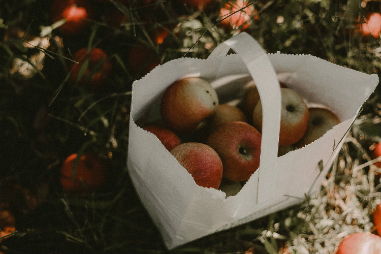 Фото: Rikki Austin / unsplash.com
