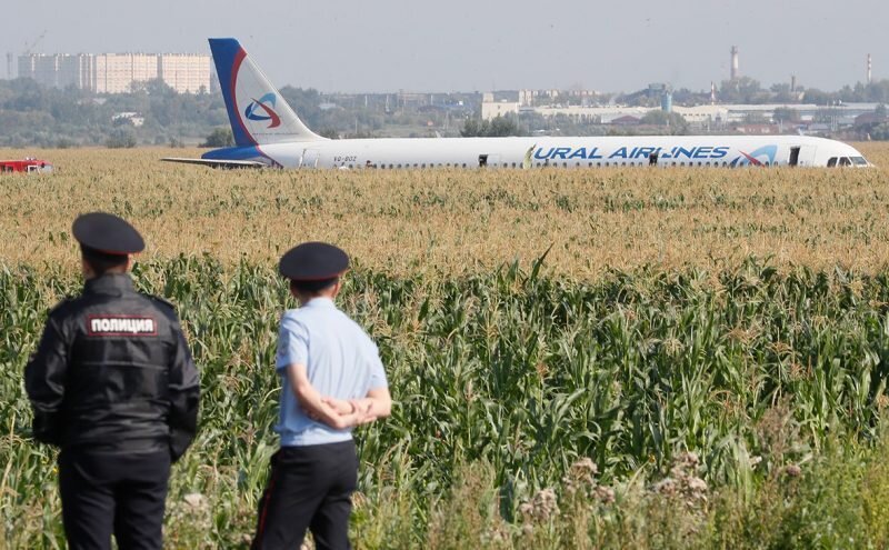 Хрущев Никита точно знал, зачем  нам кукуруза