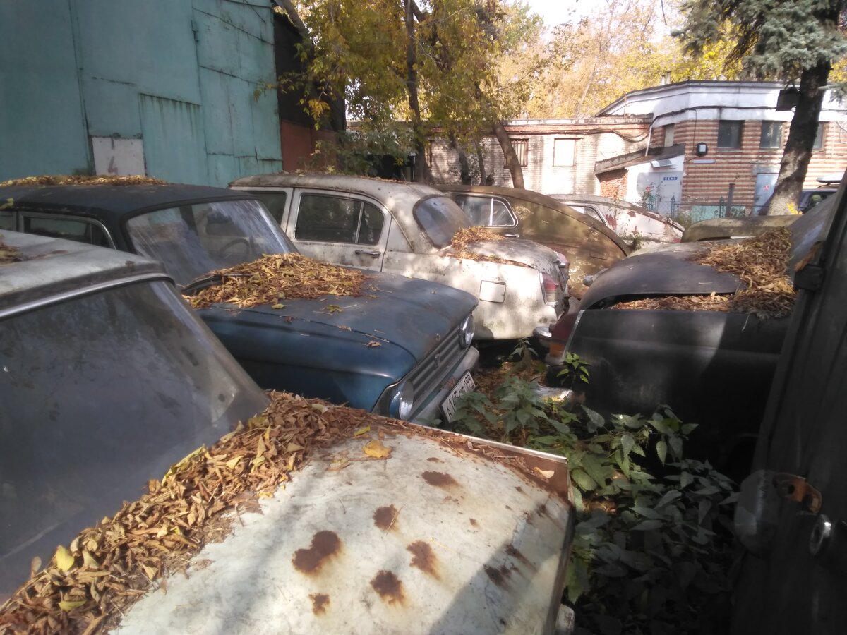 Свалка ретро автомобилей в Москве | Охотник за брошенными АВТО | Дзен