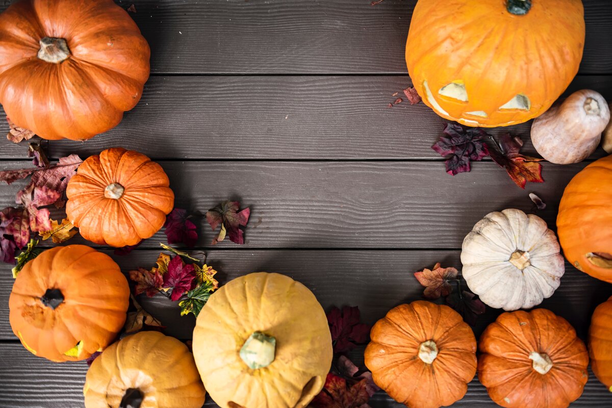 https://unsplash.com