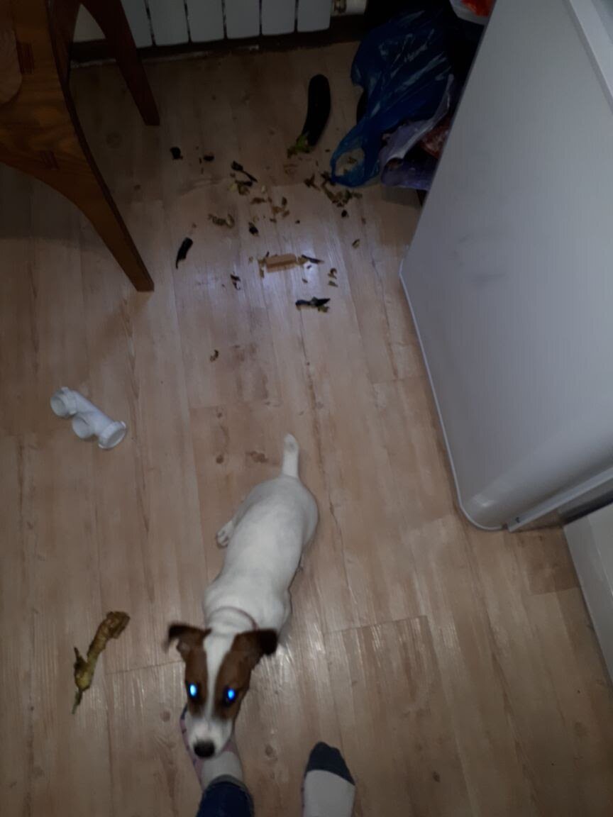 Он сам виноват...