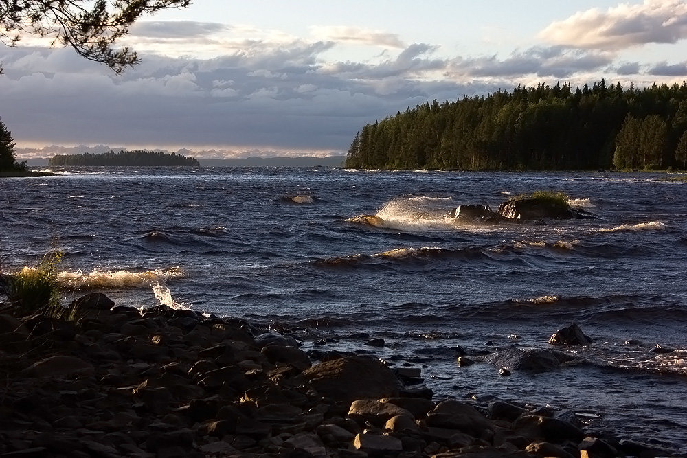 Фото Автор Зинаида Молчанова www.fotokto.ru