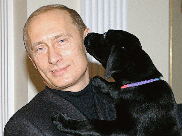 Фото из свободных источников сети Интернет