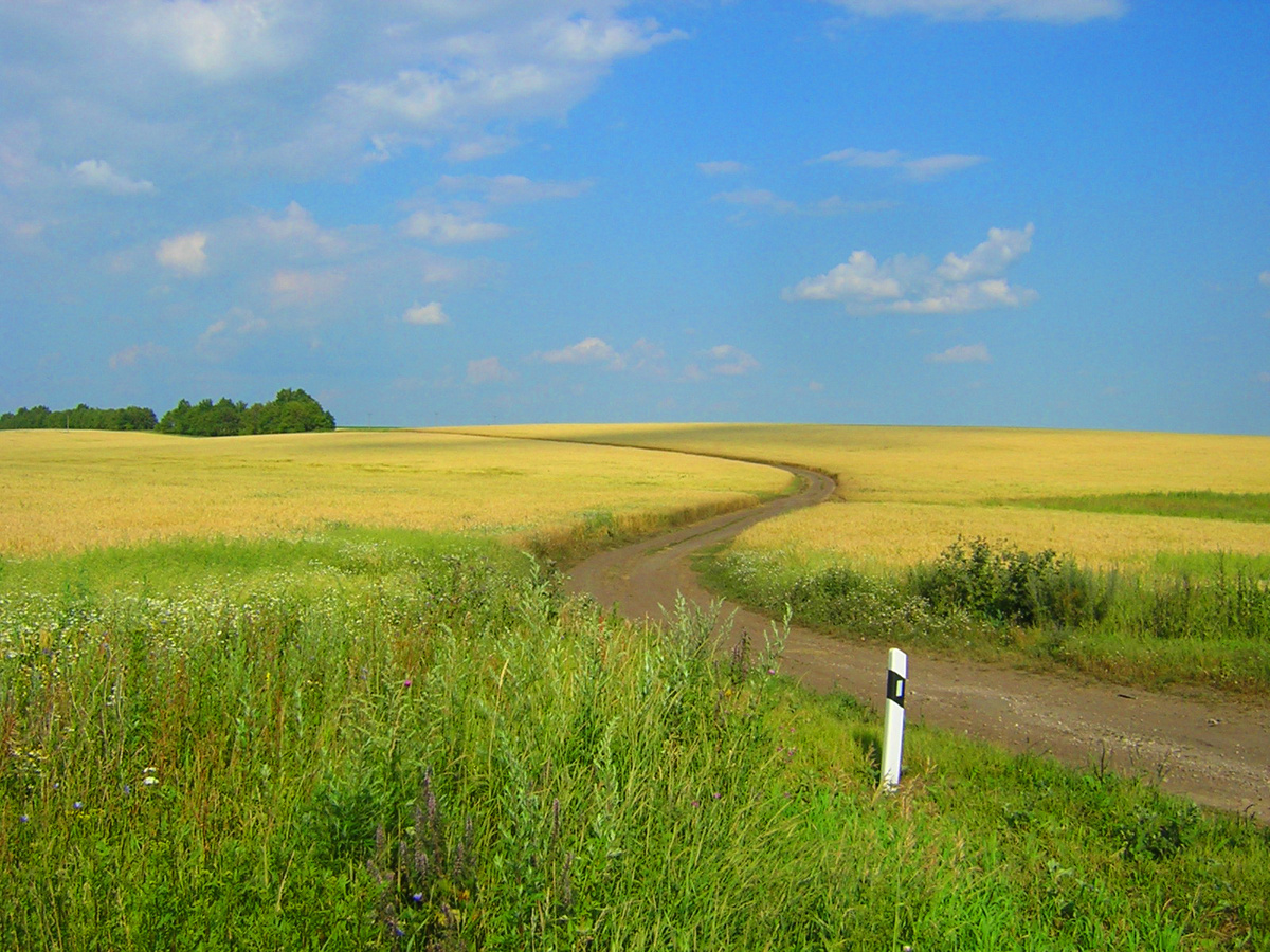 Бескрайняя земля русская и бесконечная извилистая дороженька в никуда....